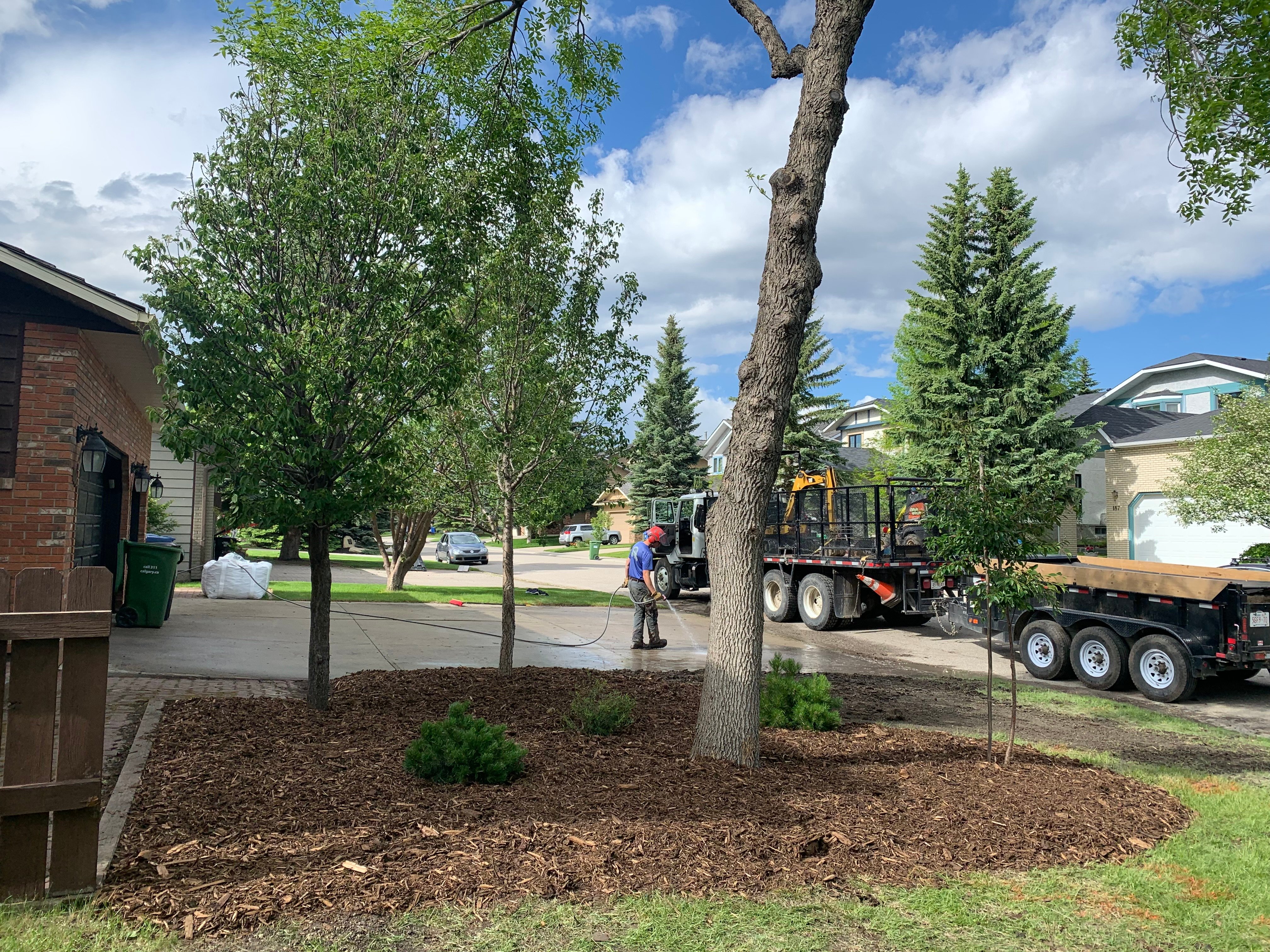 Total Tree Solutions crew cleaning up after a job