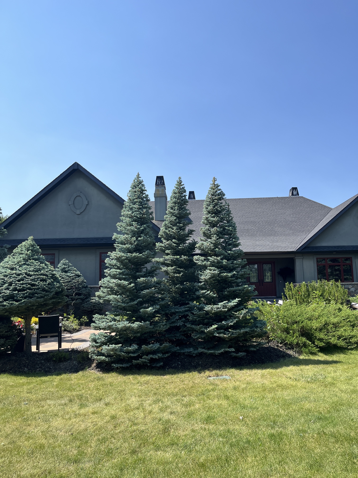 Total Tree Solutions landscaping and tree care