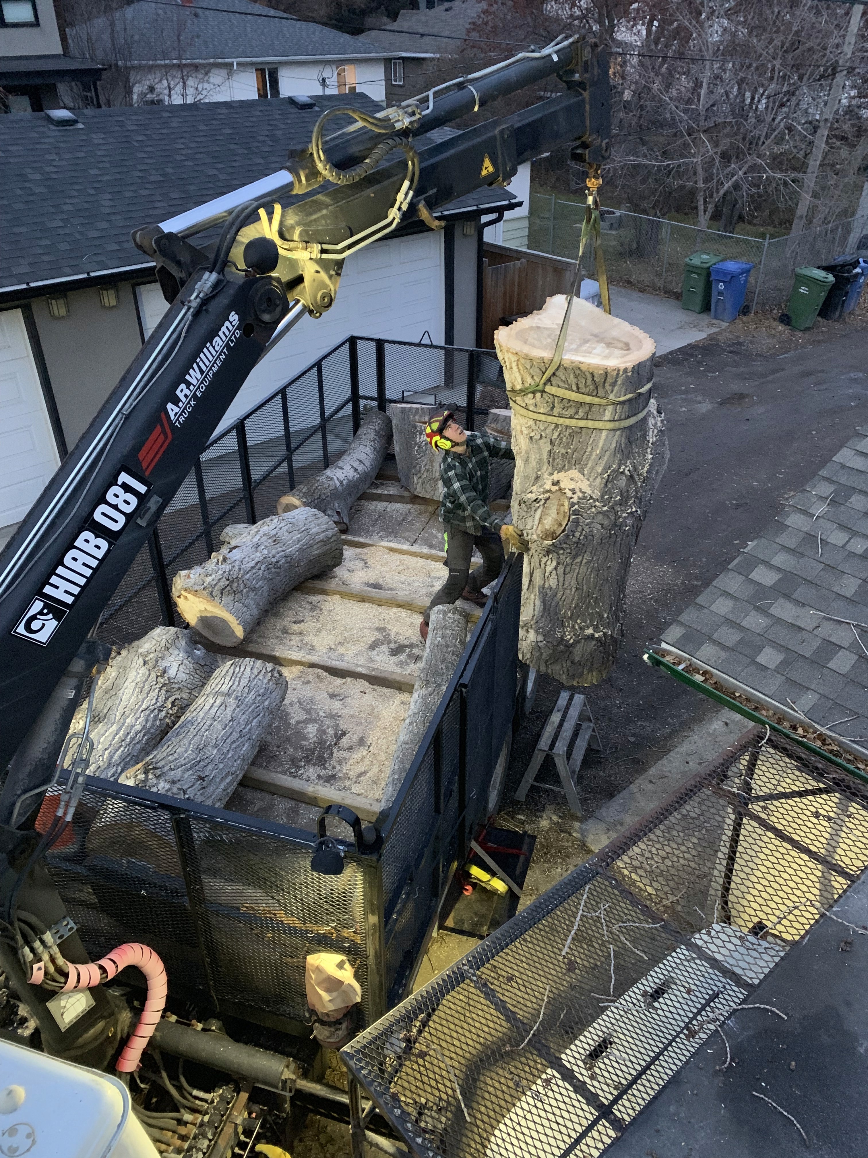 Tree Removal